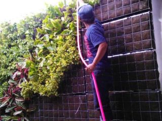 Pembuatan Vertical Garden