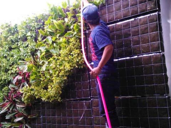 Pembuatan Vertical Garden
