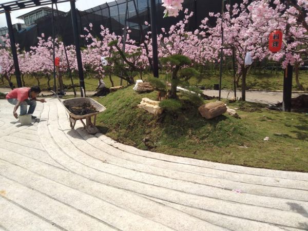 Pembuatan Taman Jepang